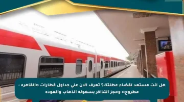 هل أنت مستعد لقضاء عطلتك؟ تعرف الآن على جداول قطارات «القاهرة – مطروح» وحجز التذاكر بسهولة الذهاب والعودة
